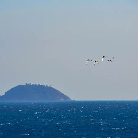Vela D'Oro-3